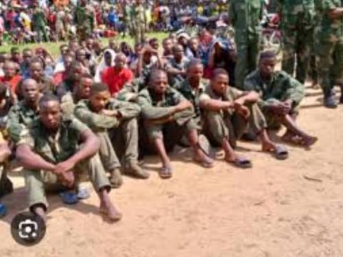 9 Miliciens Mobondo tués et 60 capturés après 72h d'Opérations dans le regroupement Kingakati à Kinshasa